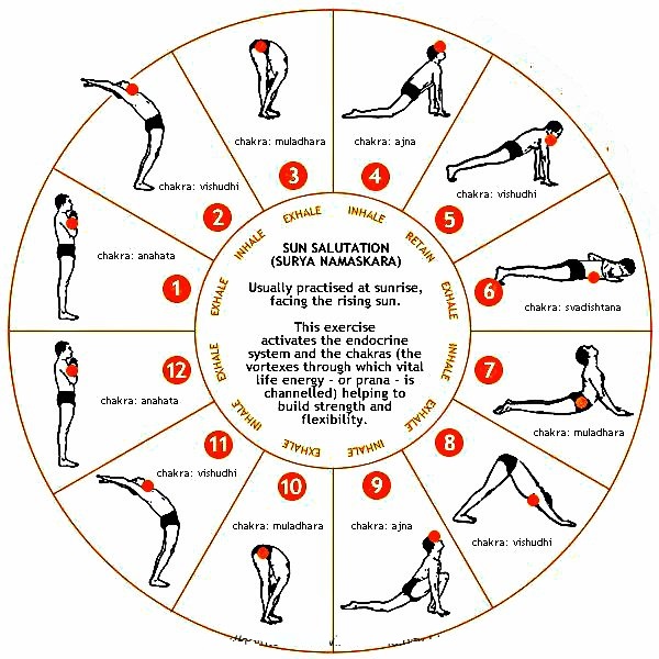 SuryaNamaskarChakra SuryaNamaskar